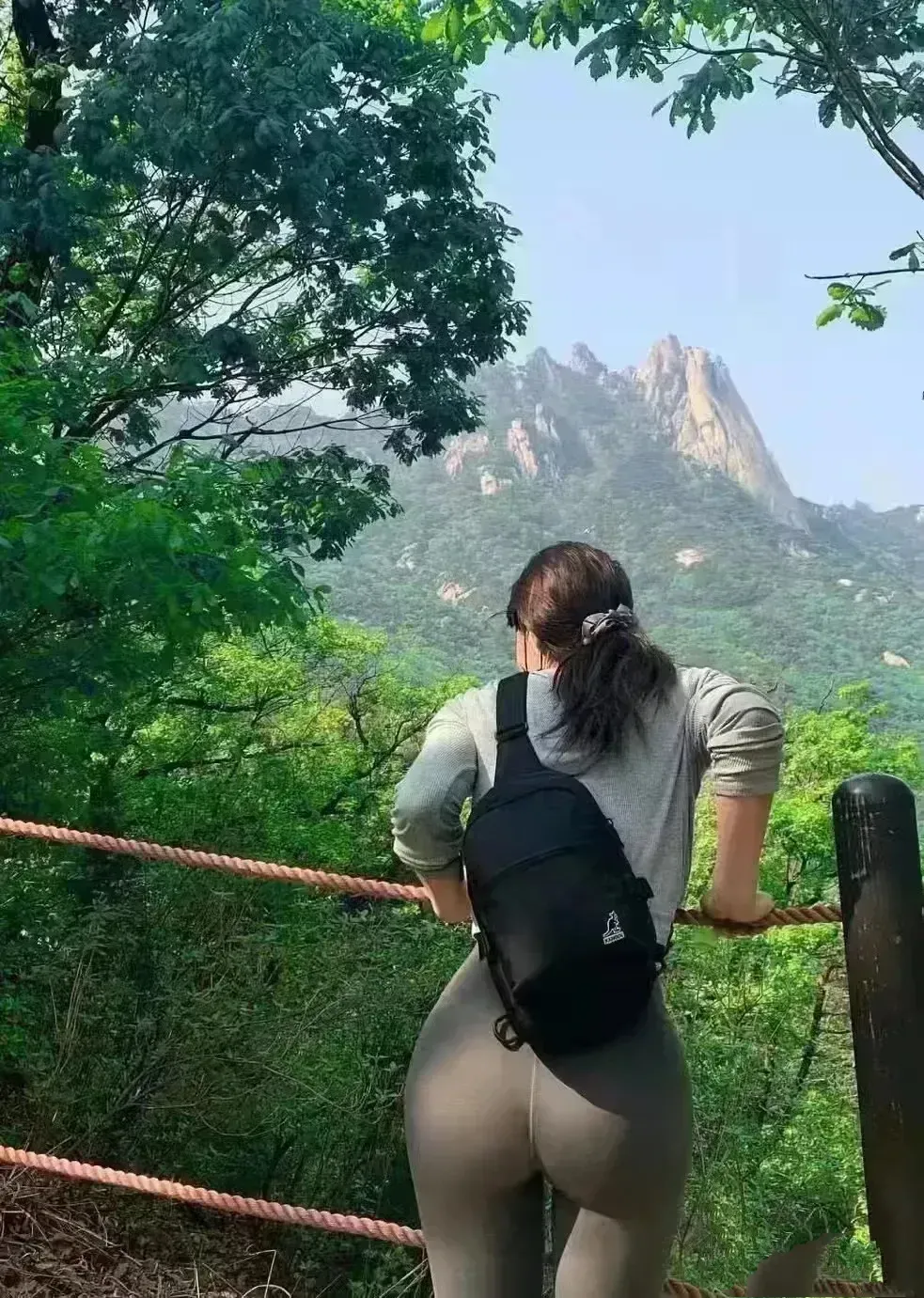 手机成人网