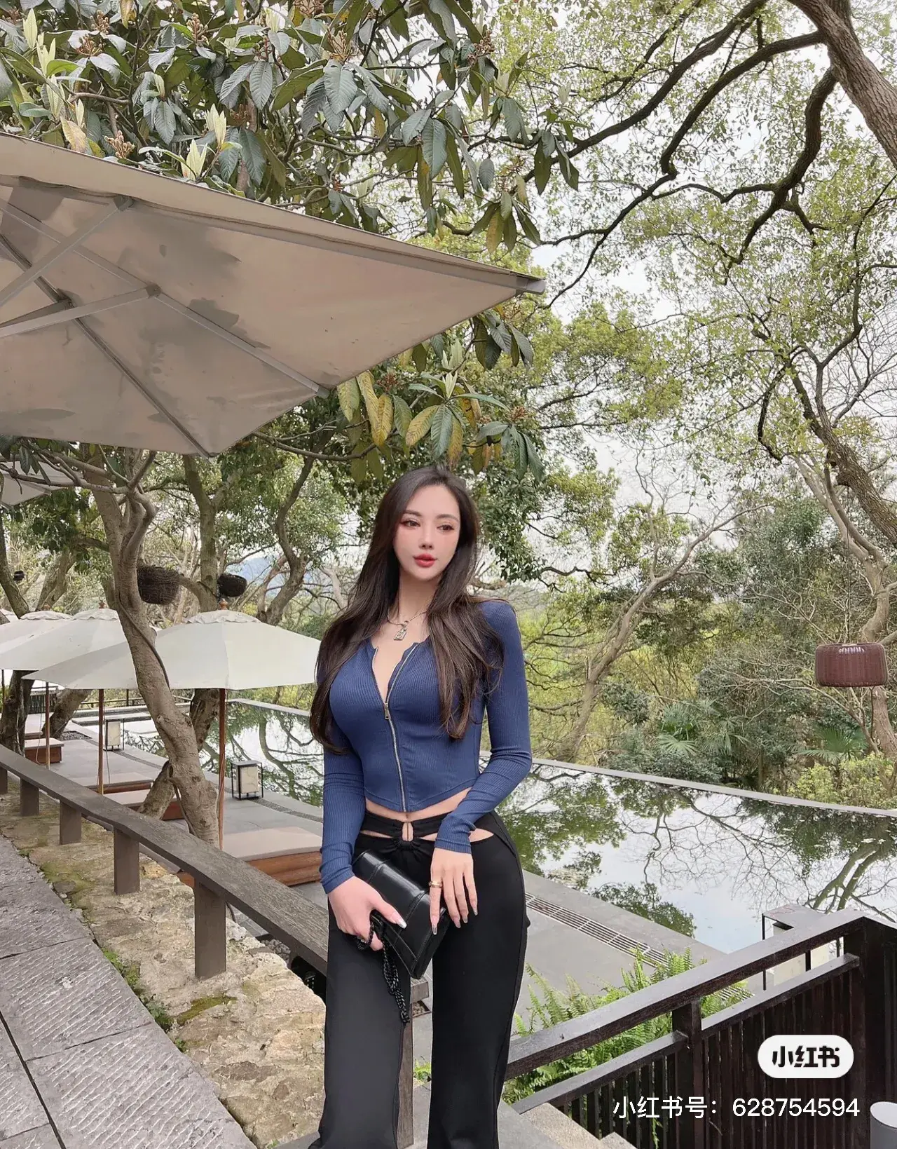 面包树上的女人电视剧