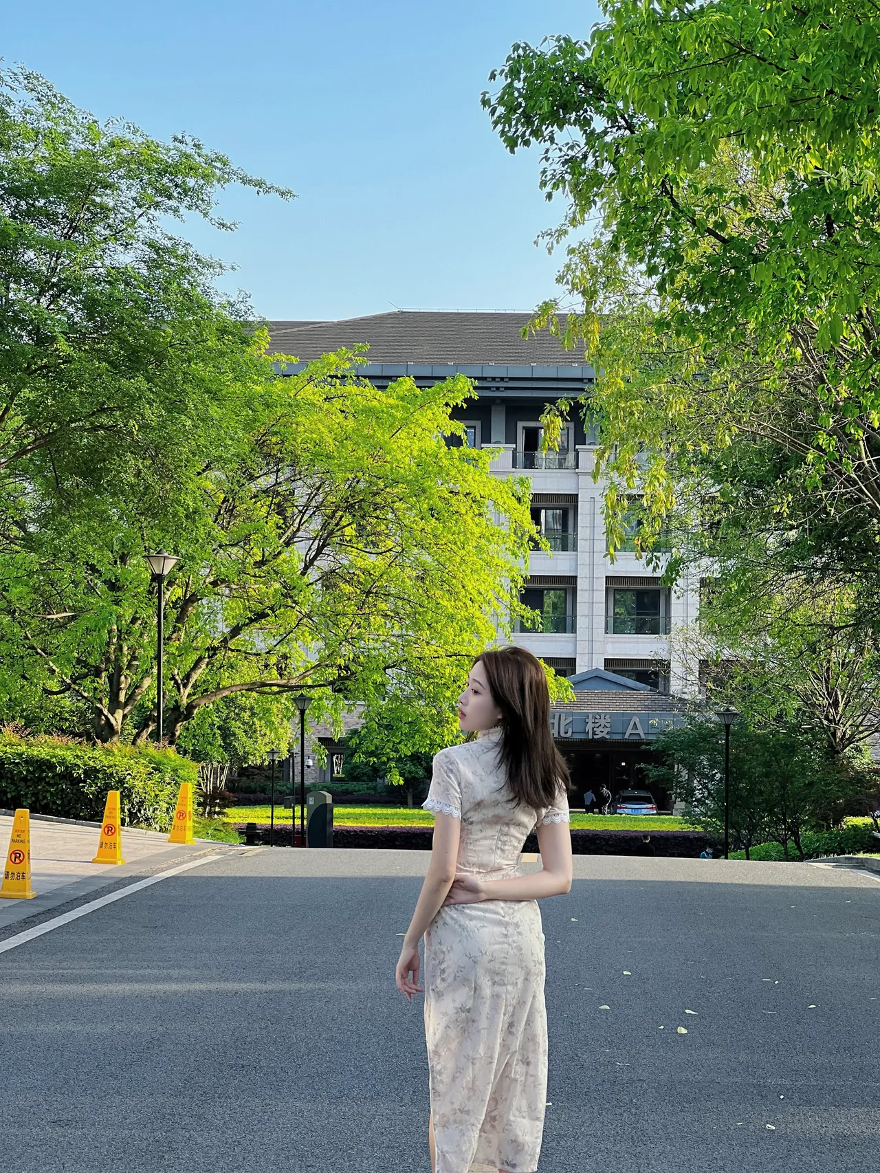 上海电视台在线直播