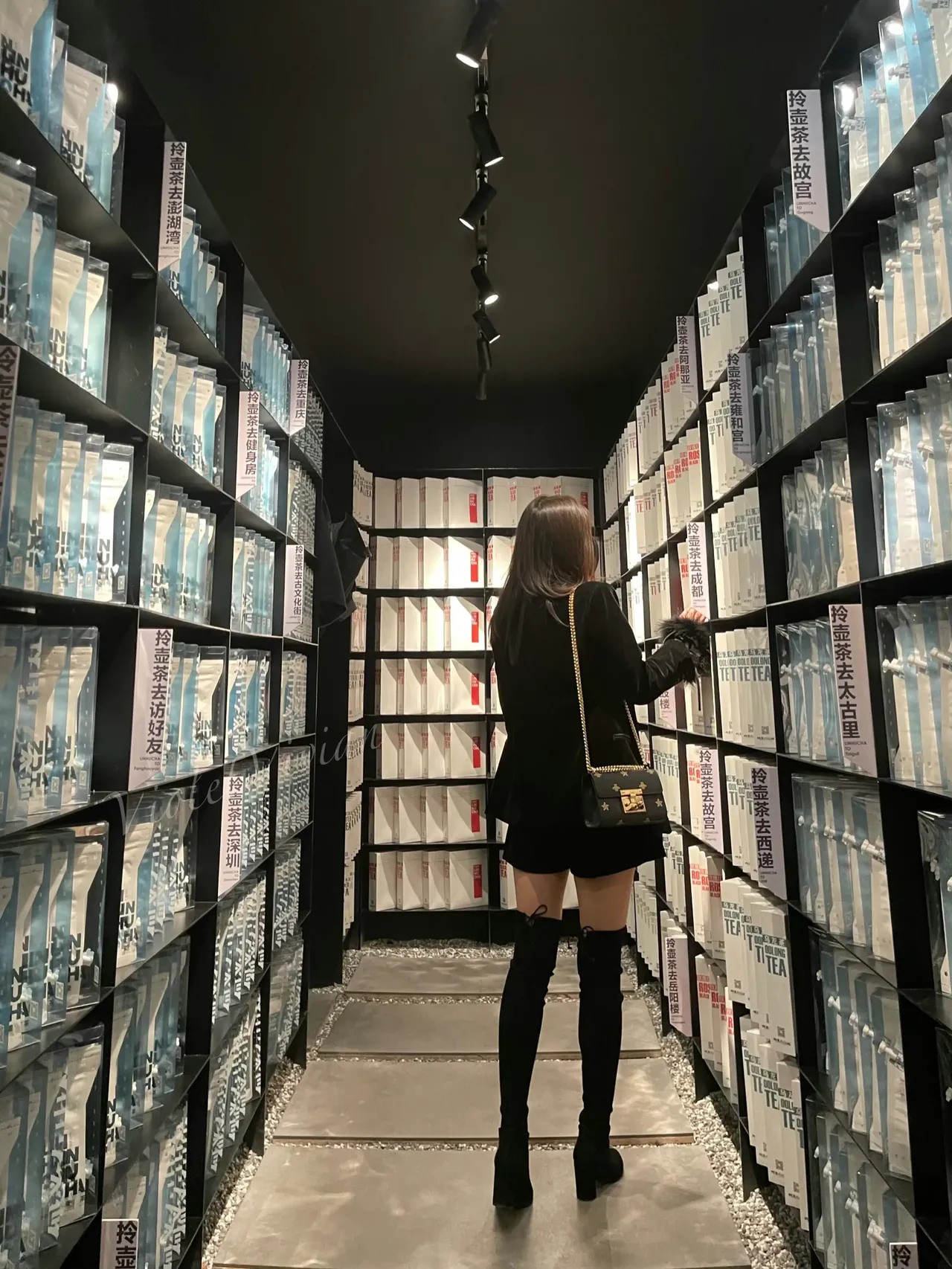 种子搜索