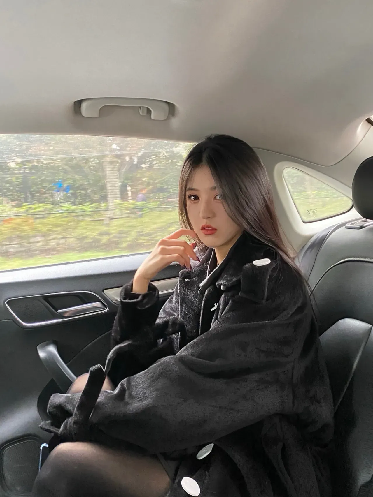 星落凝成糖全集免费观看
