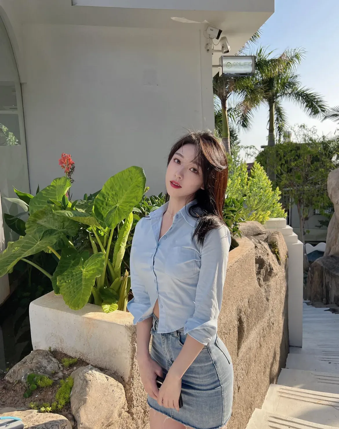 诱情转驳