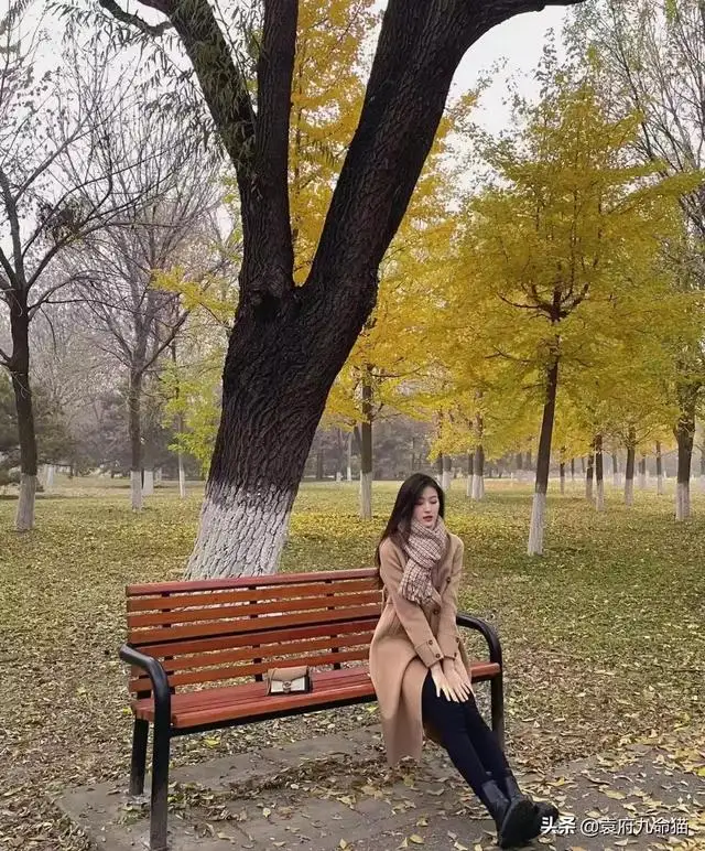 那小子真帅小说