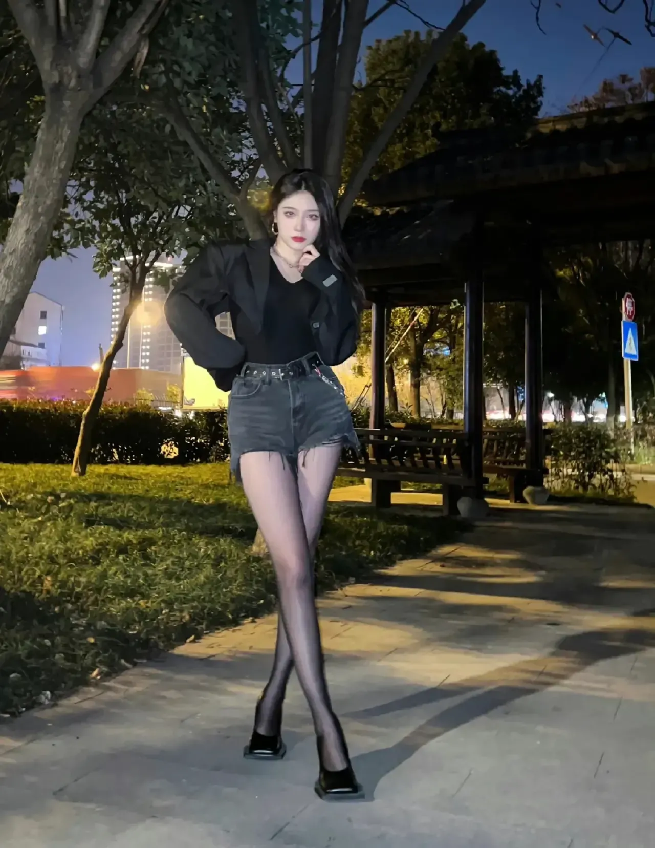 薛丁山征西国语全集