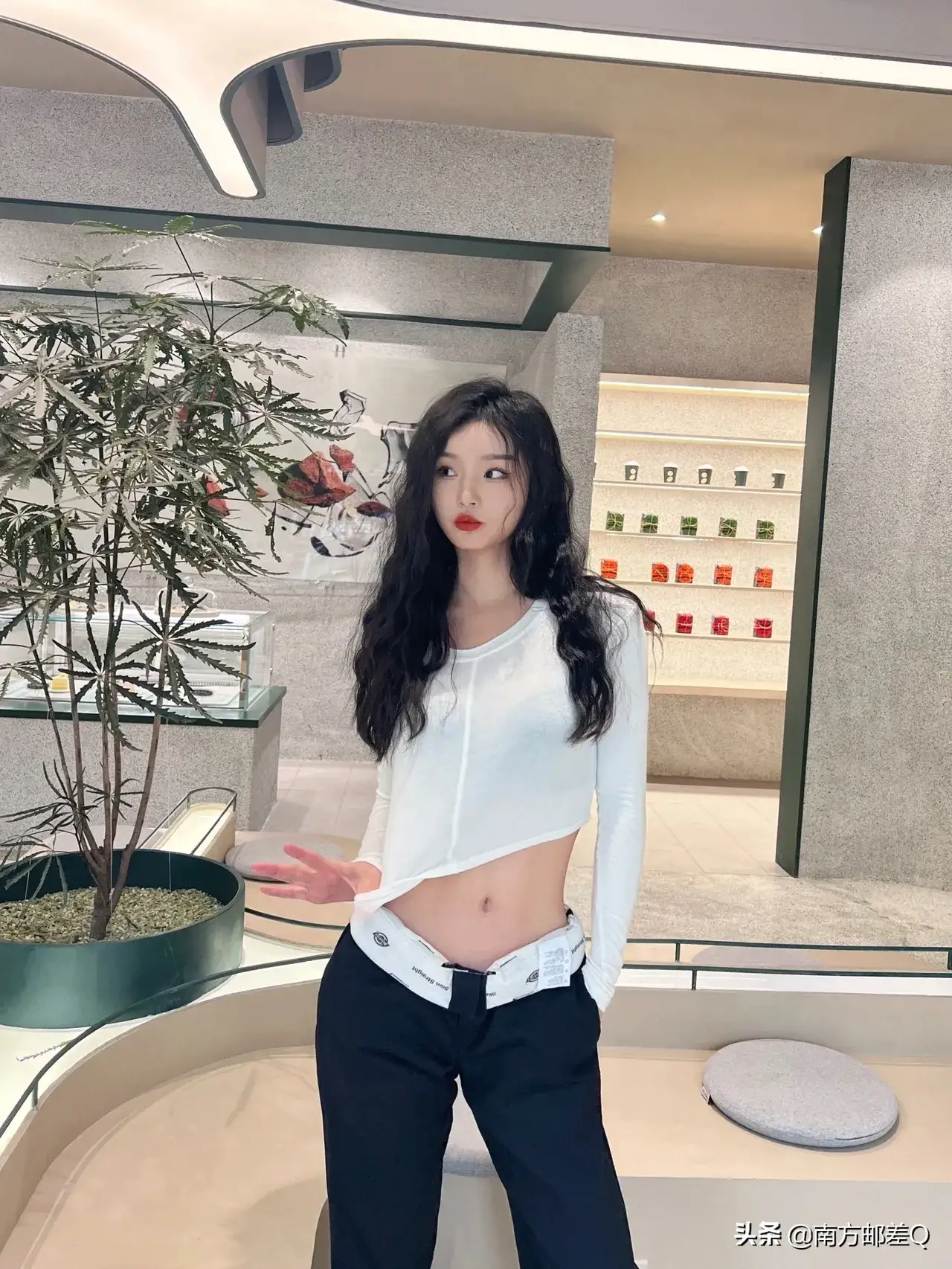 扑飞动漫